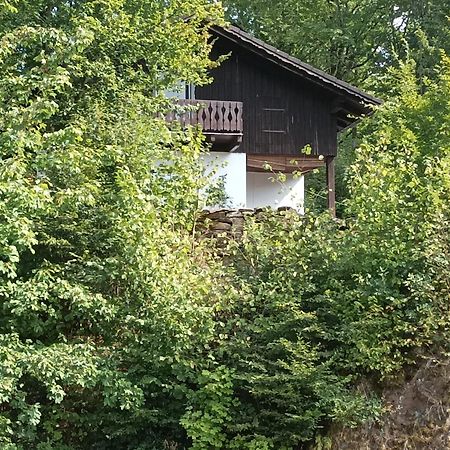 Burgberg Schoellnstein Iggensbach المظهر الخارجي الصورة