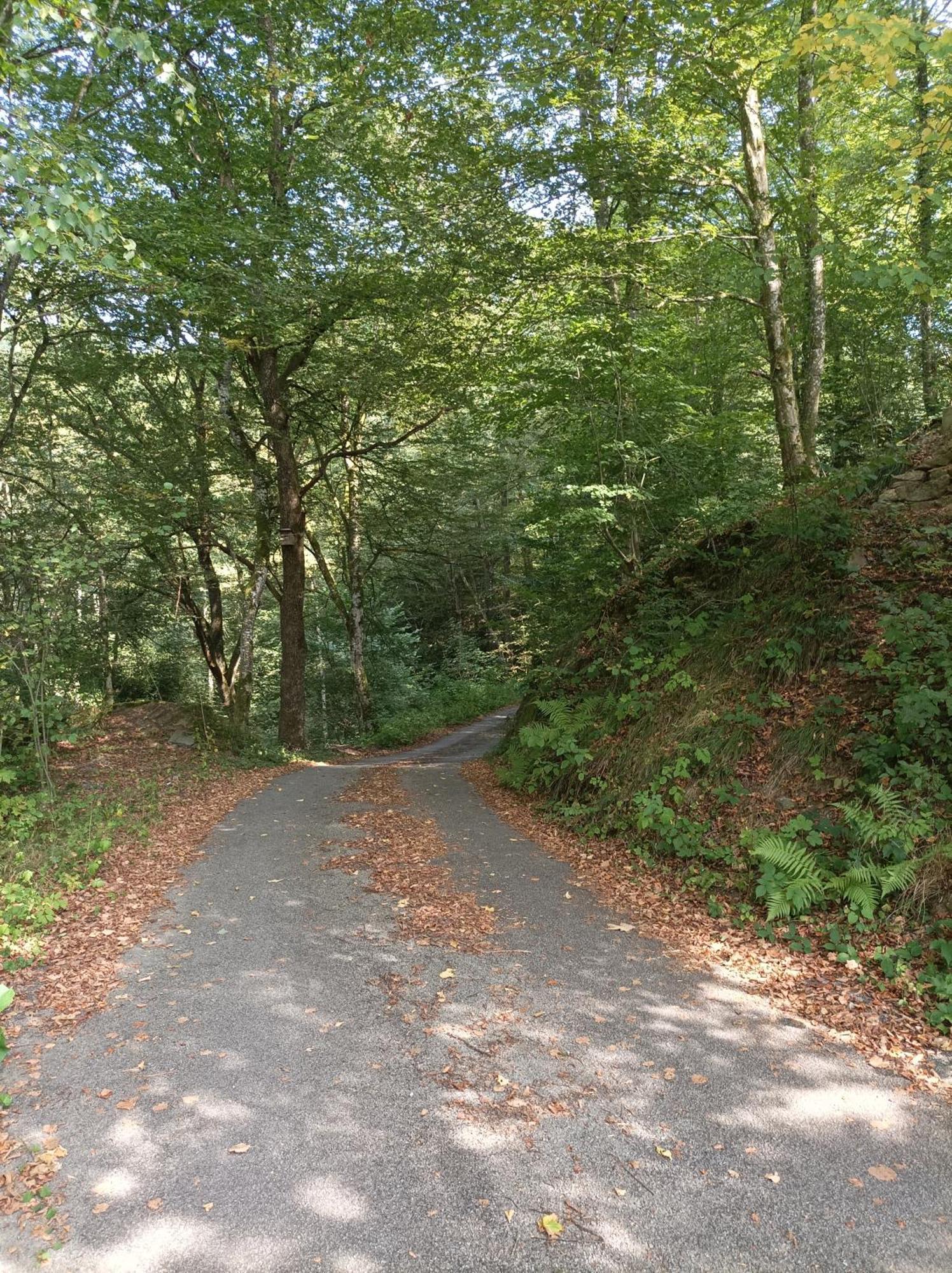 Burgberg Schoellnstein Iggensbach المظهر الخارجي الصورة