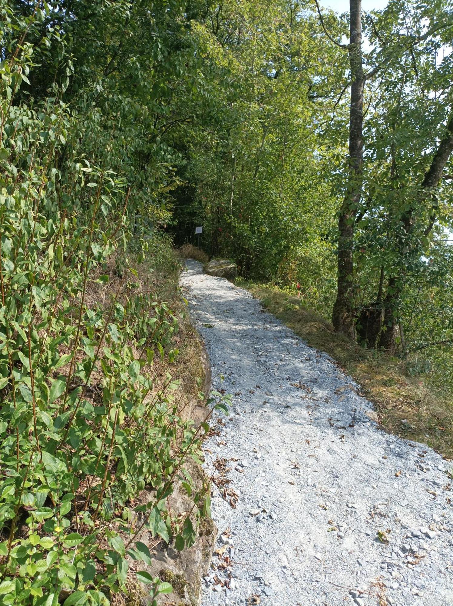Burgberg Schoellnstein Iggensbach المظهر الخارجي الصورة