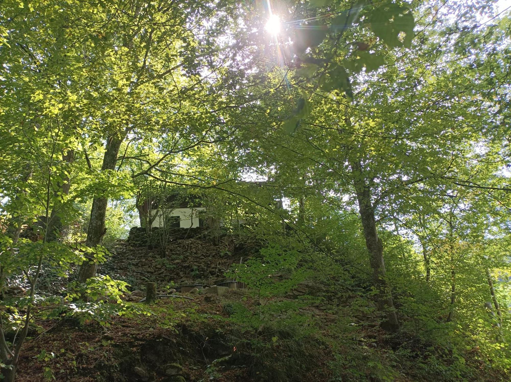 Burgberg Schoellnstein Iggensbach المظهر الخارجي الصورة